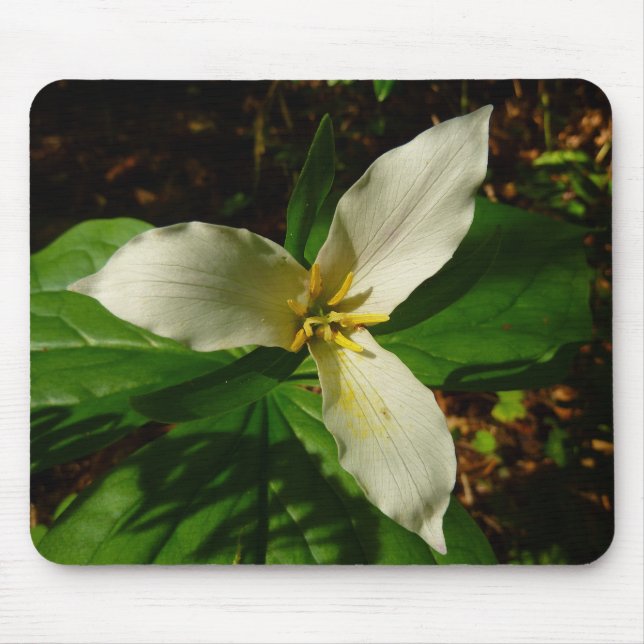 White Trillium Flower Vår Wildblomma Musmatta (Framsidan)