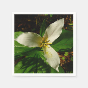 White Trillium Flower Vår Wildblomma Pappersservett