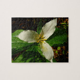 White Trillium Flower Vår Wildblomma Pussel