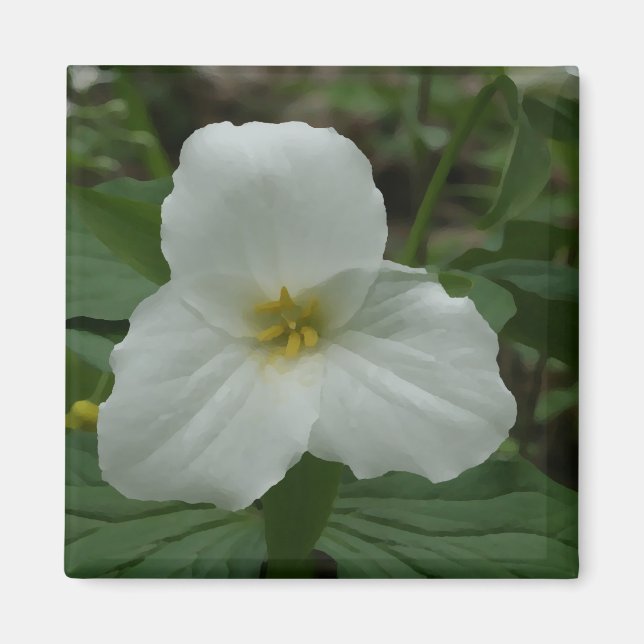 White Trillium Magnet (Framsidan)