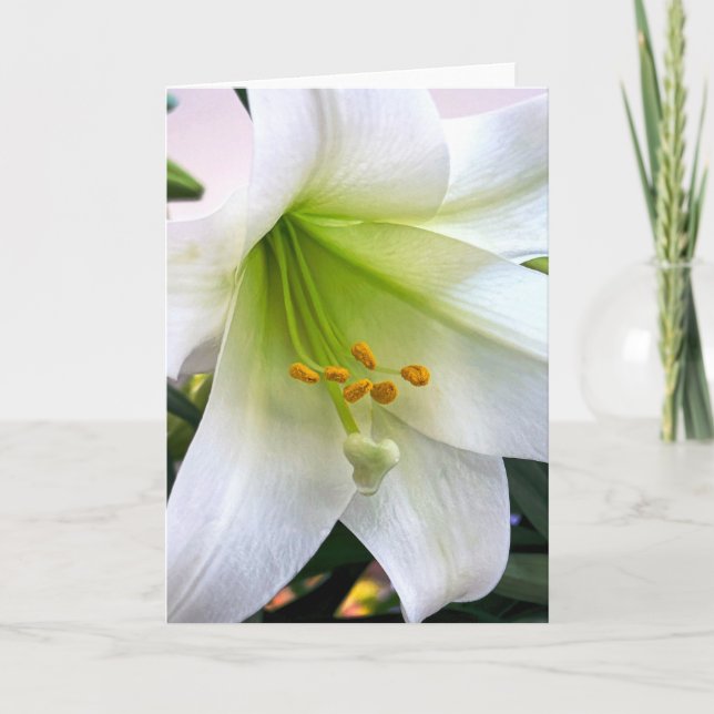 White Trumpet Lily Tack Kort (Framsida)