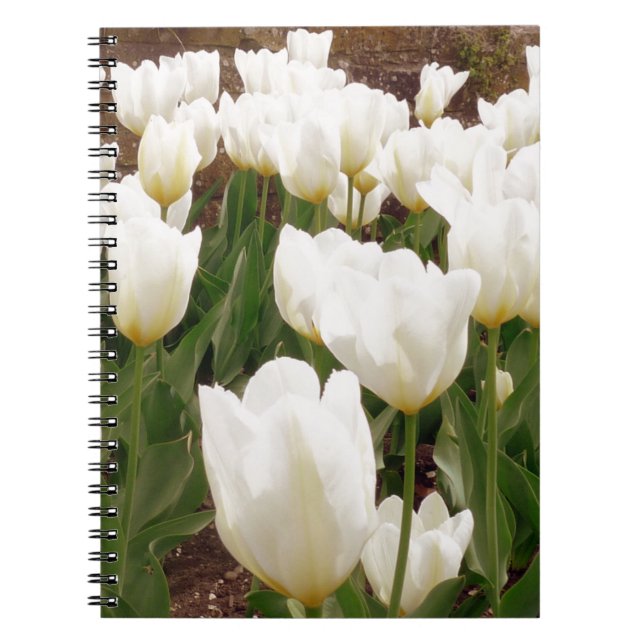 White Tulip Flowers Anteckningsbok (Framsidan)