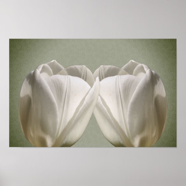 White Tulip Flowers Poster (Framsidan)