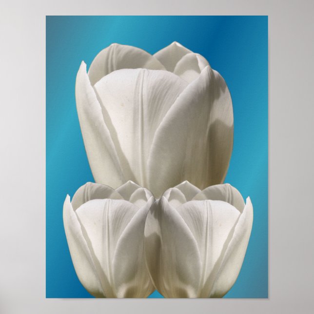 White Tulip Flowers Poster (Framsidan)