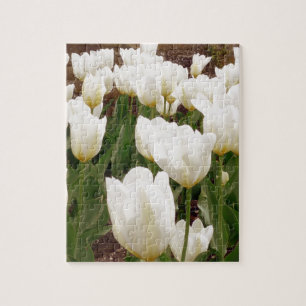 White Tulip Flowers Pussel
