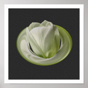 White Tulip Petals Blommigt Art Poster