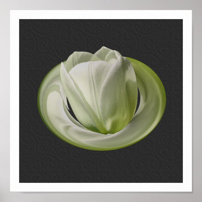 White Tulip Petals Blommigt Art Poster (Framsidan)