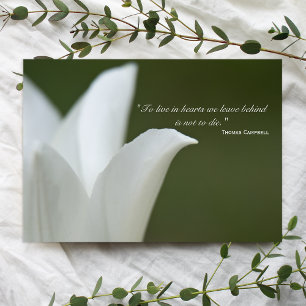 White Tulip Tack för din sympati Kort