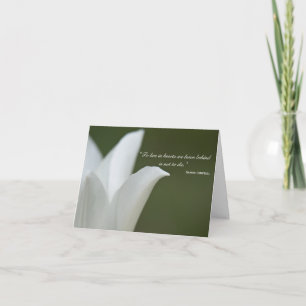 White Tulip Tack för din sympati Kort