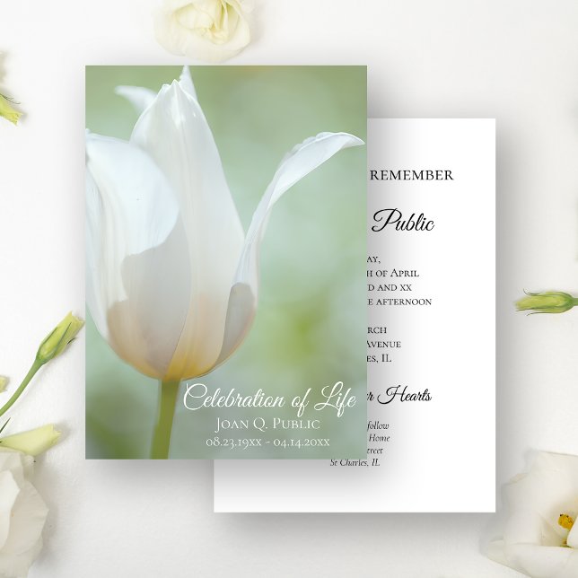 White Tulip Vår Firande av Life Funeral Inbjudningar (Skapare uppladdad)