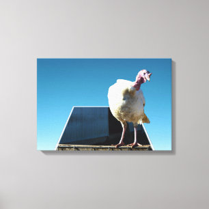 White Turkey Dimensional Popout Art. Canvastryck