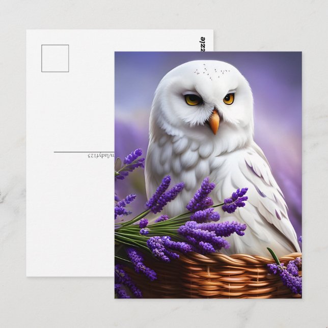 White Uggla i Lavender, Postcross Vykort (Fram/baksida)