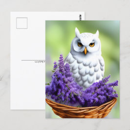 White Uggla i Lavender, Postcross Vykort