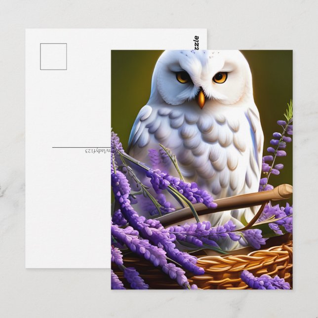 White Uggla i Lavender, Postcross Vykort (Fram/baksida)