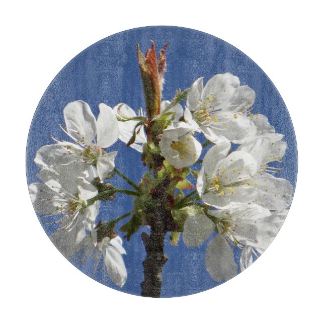 White Vår Bloom (Framsidan)