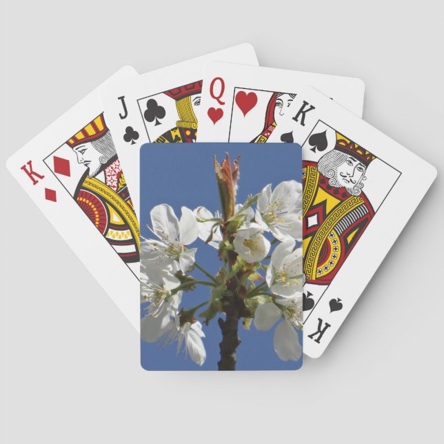 White Vår Bloom Casinokort (Baksidan)