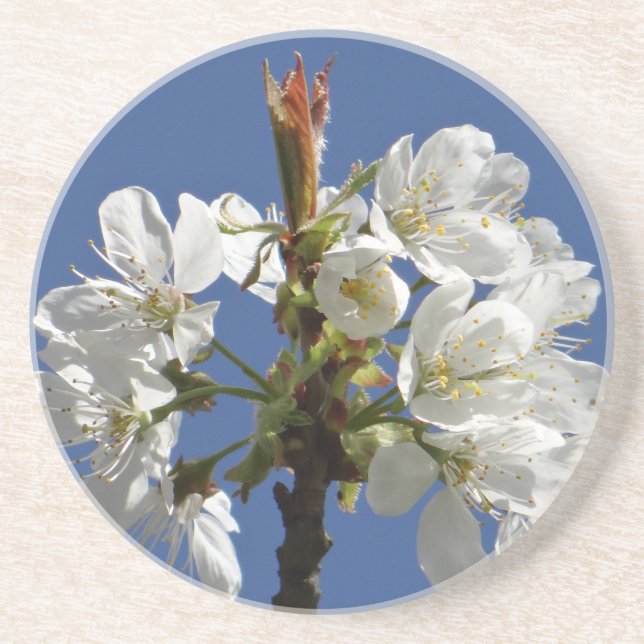 White Vår Bloom Underlägg (Framsidan)