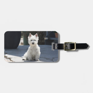 White Väster Highland Terrier Sitta på Sidepromena Bagagebricka