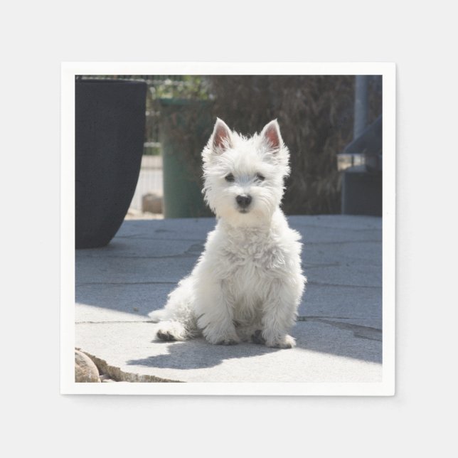 White Väster Highland Terrier Sitta på Sidepromena Pappersservett (Framsidan)