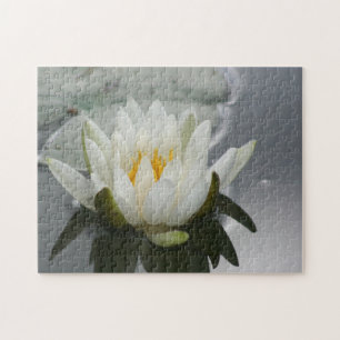 White Vatten Lily Lotus Blommar Flower Pussel