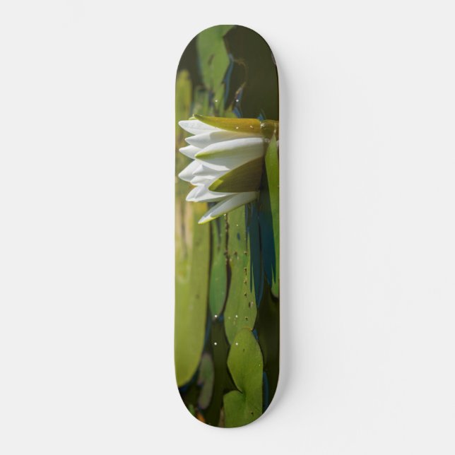 White Vatten Lily Mini Skateboard Bräda 18,5 Cm (Framsida)