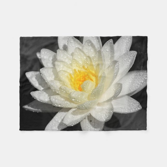 White Vatten Lily Photograph Fleecefilt (Framsidan (Horisontell))