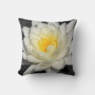 White Vatten Lily Photograph Kudde