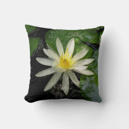 White Vatten Lily Photograph Kudde