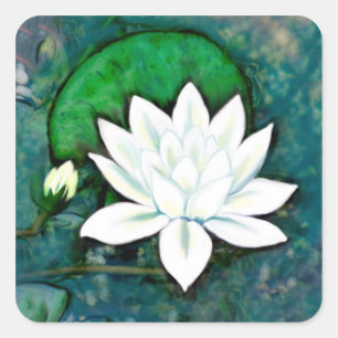 White Vatten Lily Stickers Fyrkantigt Klistermärke