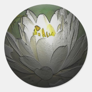 White Vatten Lily Stickers Runt Klistermärke