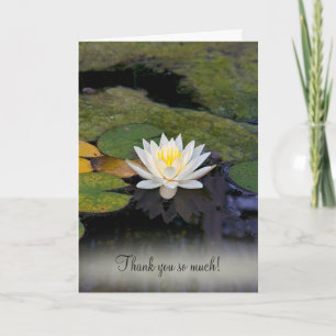 White Vatten Lily Tack Kort
