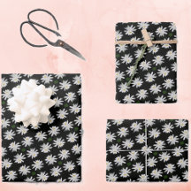 White Vatten Lily w/ Black Background - Blommigt