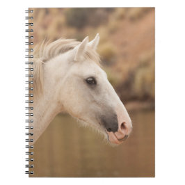 White Vild Horse Anteckningsbok Med Spiral