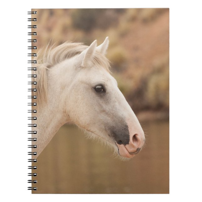 White Vild Horse Anteckningsbok Med Spiral (Framsidan)