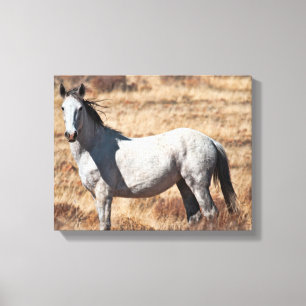 White Vild Mustang Horse Kanvastryck