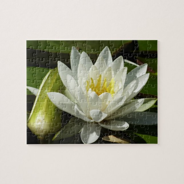 White Waterlily and Bud Blommigt Pussel (Horisontell)