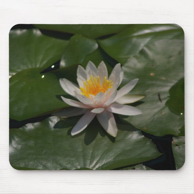 White Waterlily Mousepad Musmatta (Framsidan)