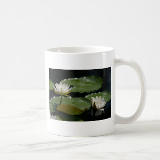White Waterlily Mugg