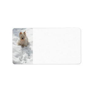 White Westie Hund i Snö adressetikett