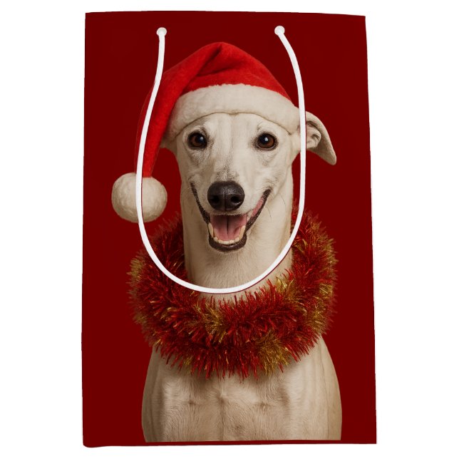 White whippet in Santa hat Christmas  (Framsidan)
