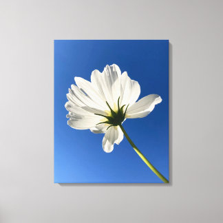 White Wild Flower Canvas Art