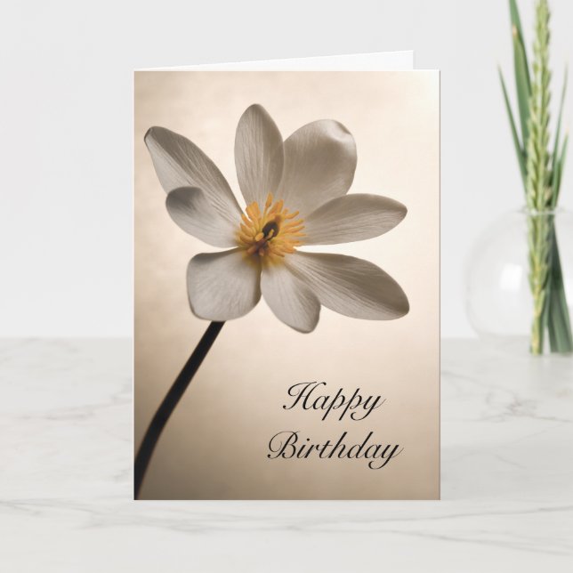 White Wildblomma Birthday Kort (Framsida)