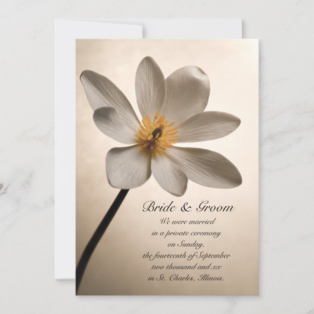 White Wildblomma Giftermål / Elopement Announement Meddelande (Framsida)