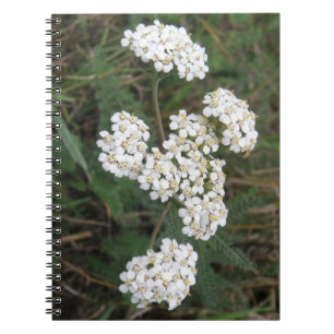 White Wildblommor - bärbar dator Anteckningsbok Med Spiral