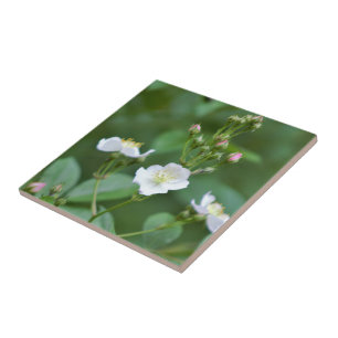 White Wildblommor Kakelplatta