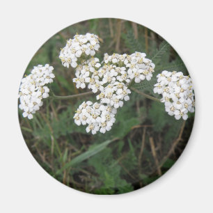 White Wildblommor Magnet