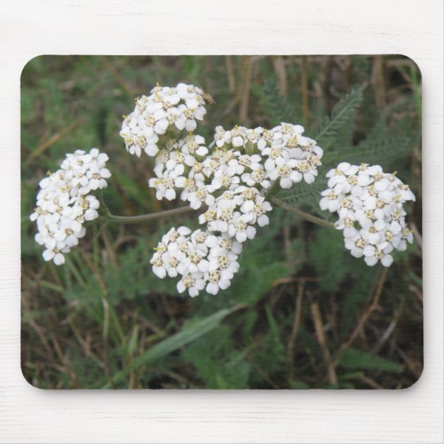 White Wildblommor Mousepad Musmatta (Framsidan)