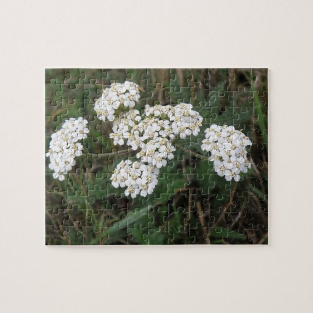 White Wildblommor Puzzle Pussel (Horisontell)