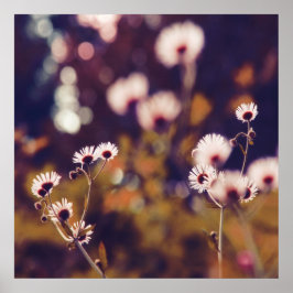 White Wildlowers in Sunlight Lila Bokeh Poster