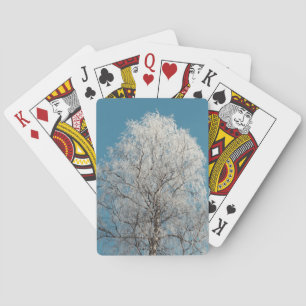 White Willow Träd mot Clouless Blå himmel Casinokort